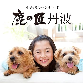 Amazon | 【食べやすいサイズ】鹿の匠丹波 ジャーキー（チップ